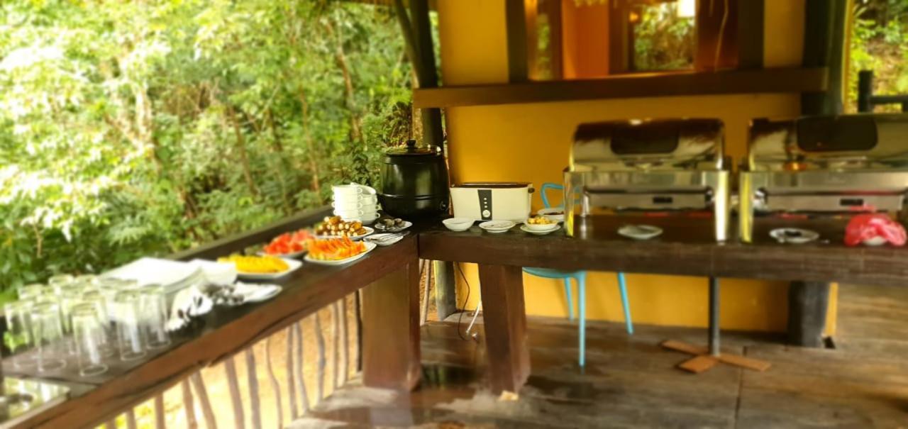 Explore Sinharaja Rain Forest Tour Camp Dombagoda ภายนอก รูปภาพ