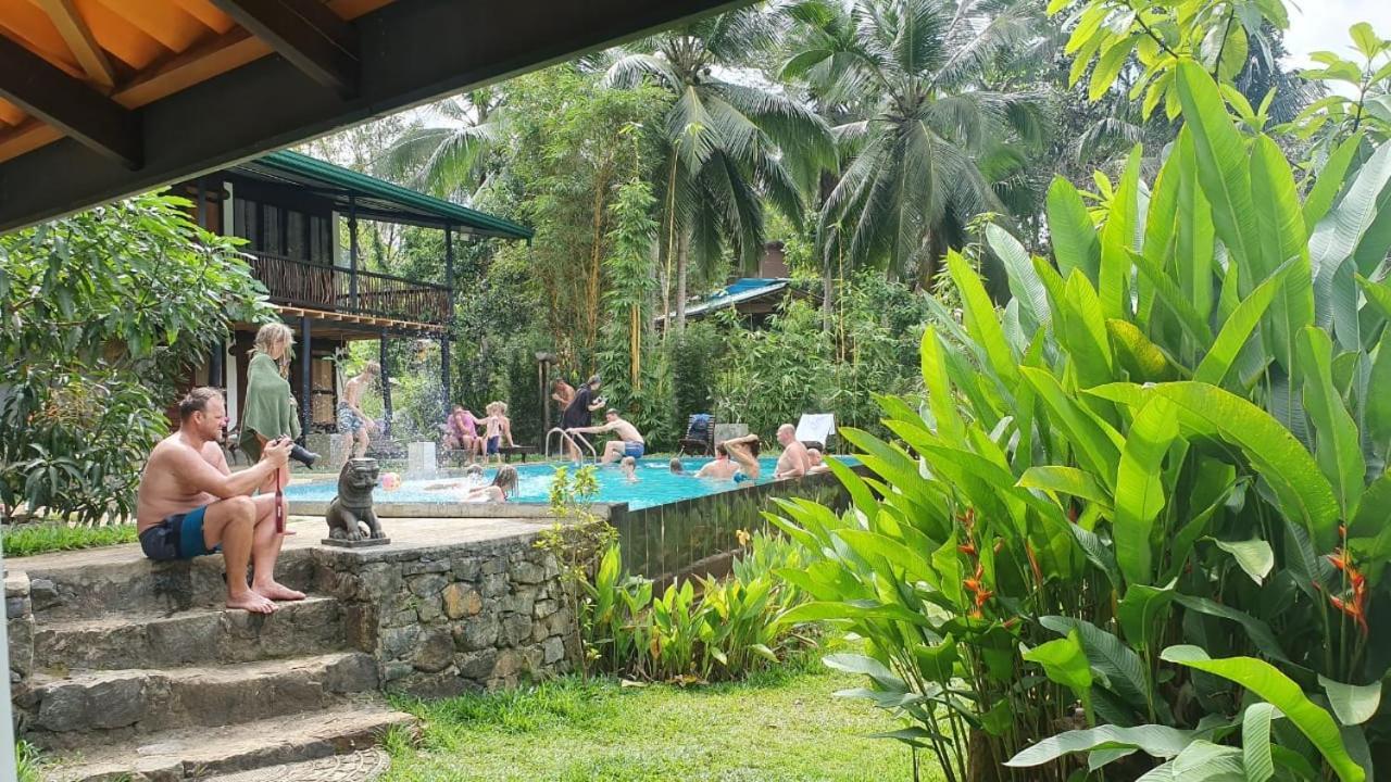 Explore Sinharaja Rain Forest Tour Camp Dombagoda ภายนอก รูปภาพ