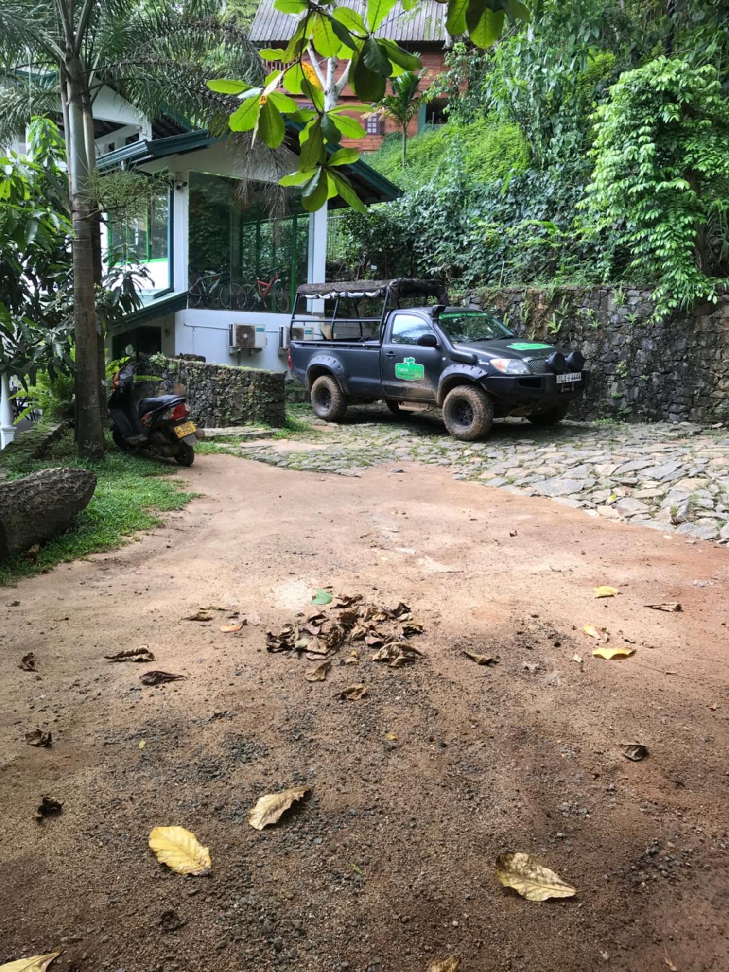 Explore Sinharaja Rain Forest Tour Camp Dombagoda ภายนอก รูปภาพ