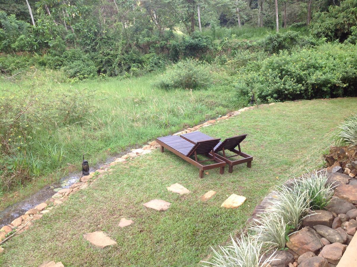 Explore Sinharaja Rain Forest Tour Camp Dombagoda ภายนอก รูปภาพ