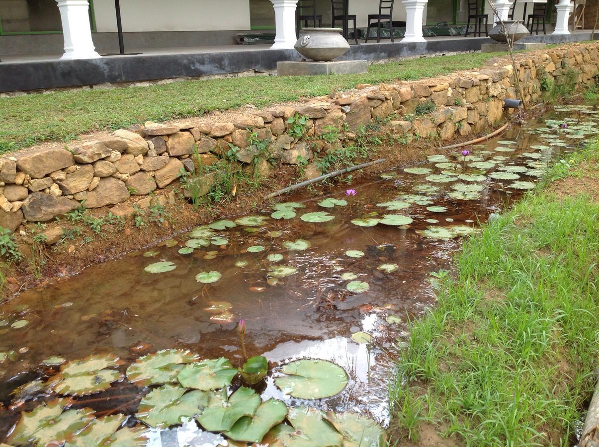 Explore Sinharaja Rain Forest Tour Camp Dombagoda ภายนอก รูปภาพ