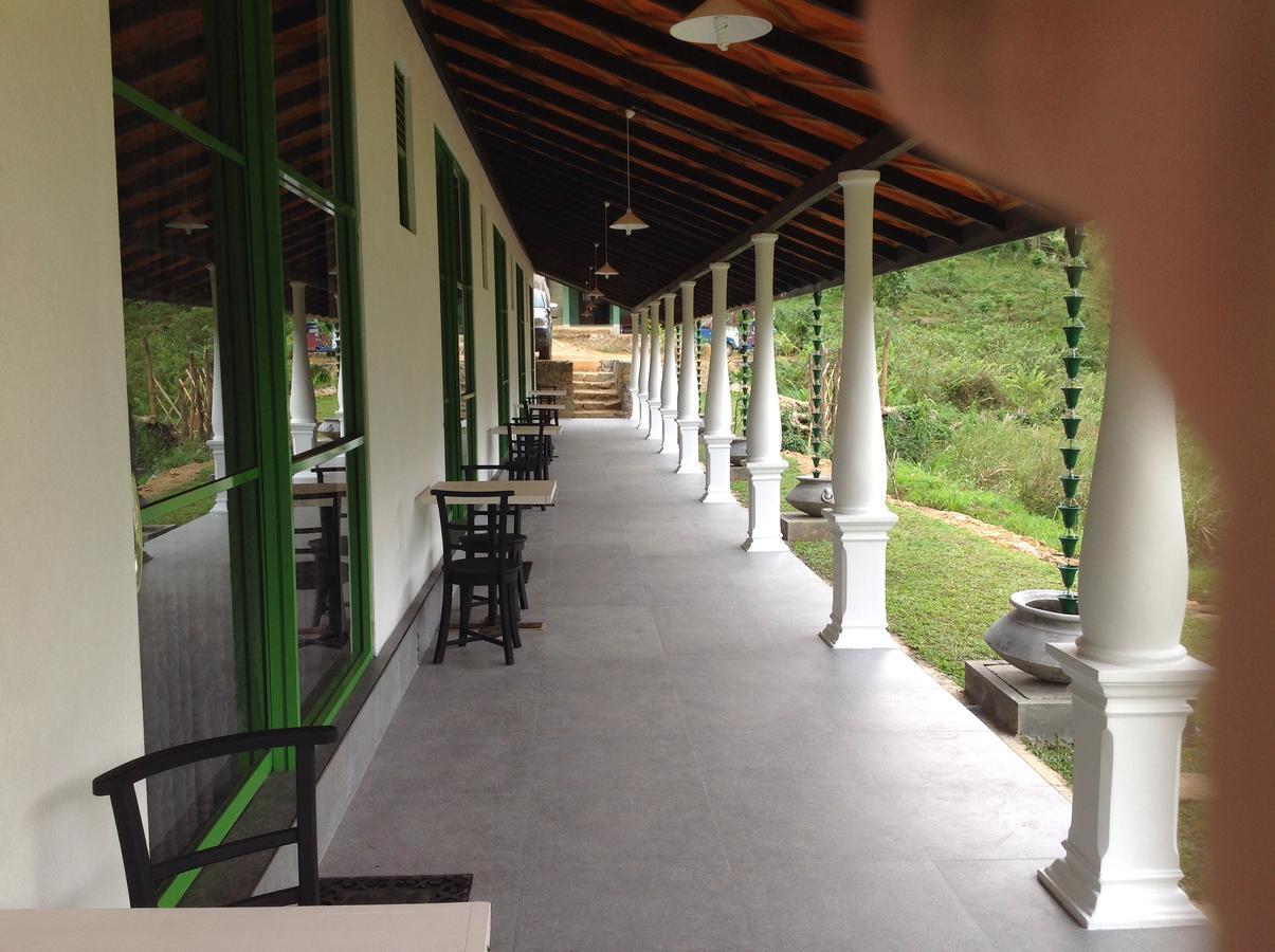 Explore Sinharaja Rain Forest Tour Camp Dombagoda ภายนอก รูปภาพ