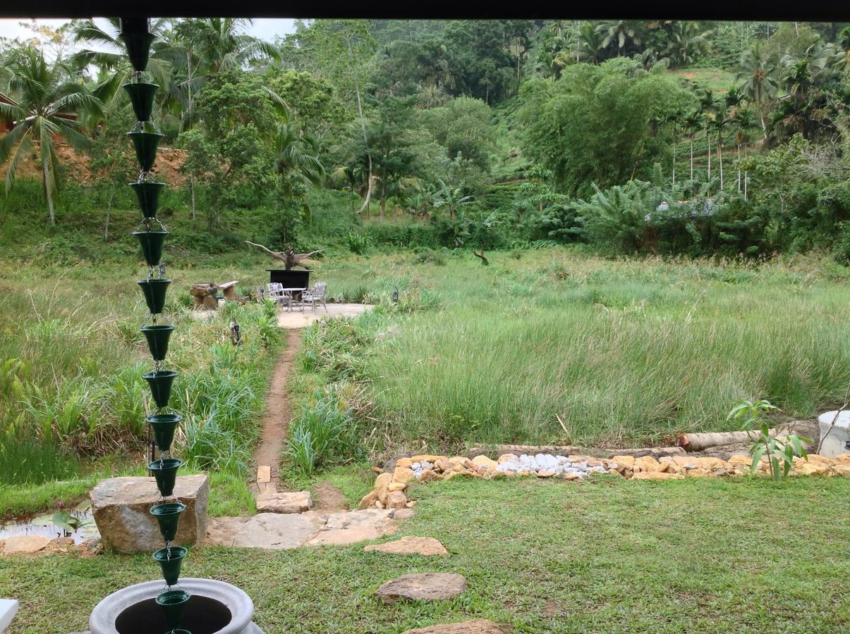 Explore Sinharaja Rain Forest Tour Camp Dombagoda ภายนอก รูปภาพ