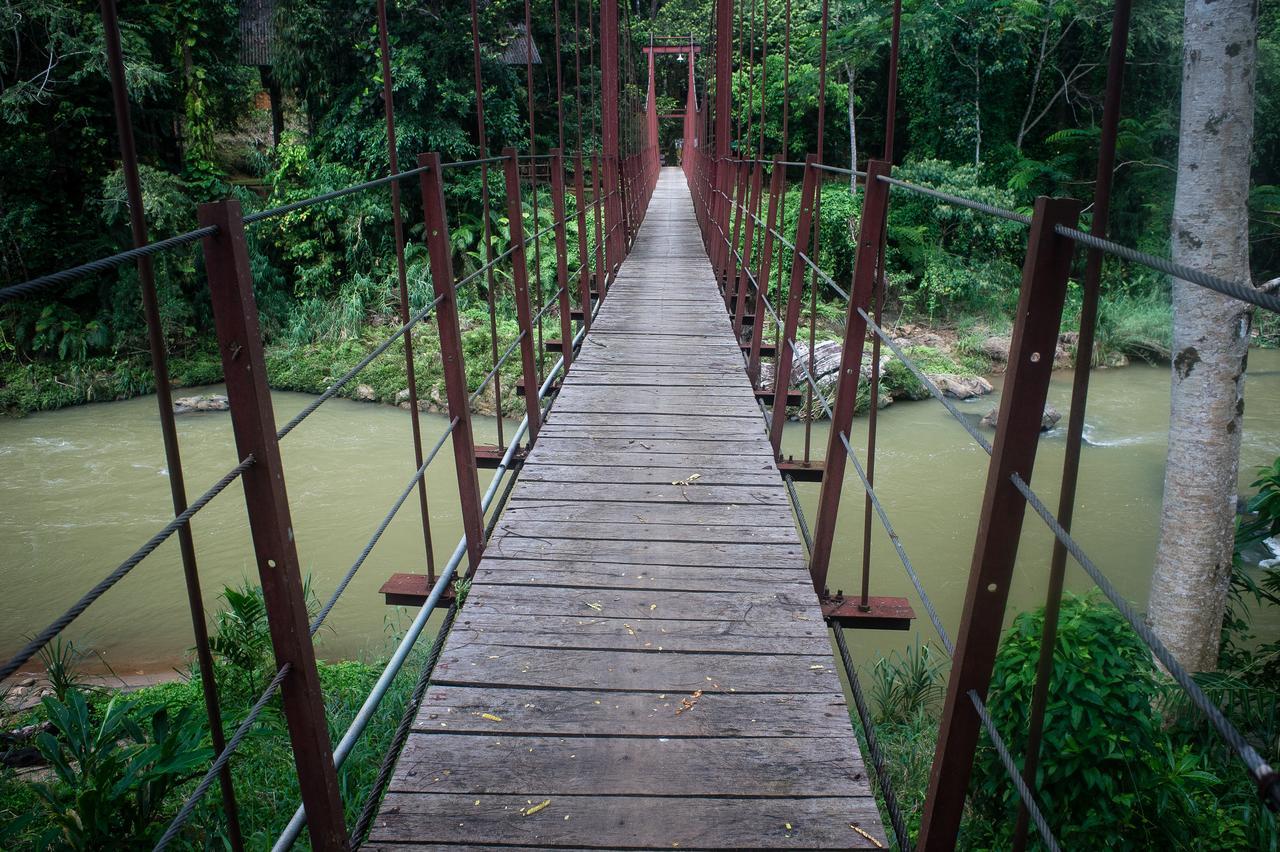 Explore Sinharaja Rain Forest Tour Camp Dombagoda ภายนอก รูปภาพ