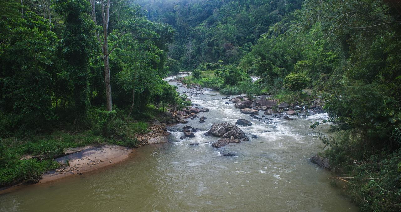 Explore Sinharaja Rain Forest Tour Camp Dombagoda ภายนอก รูปภาพ
