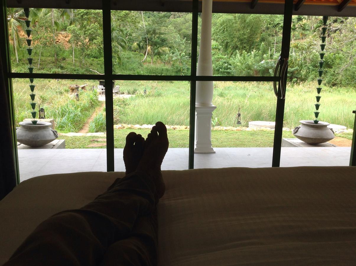 Explore Sinharaja Rain Forest Tour Camp Dombagoda ภายนอก รูปภาพ