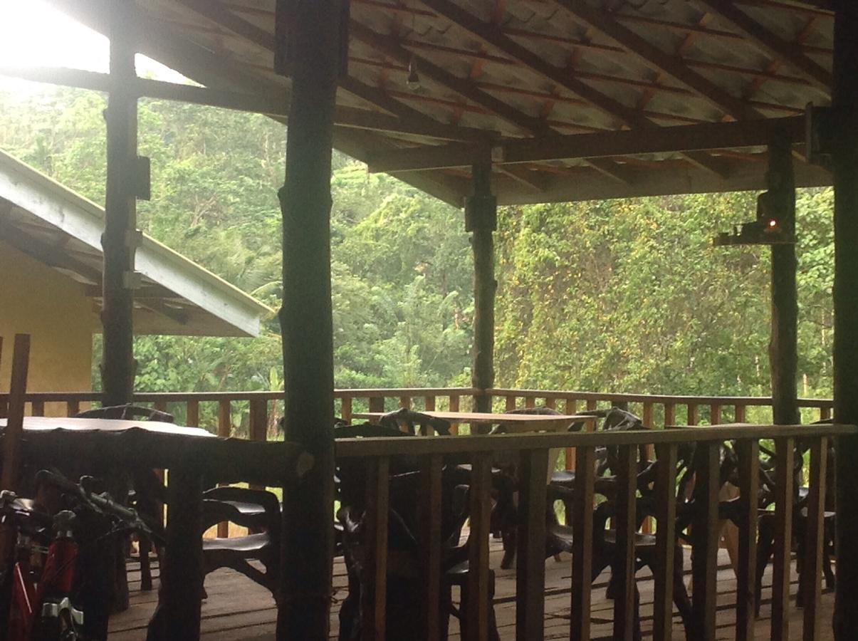 Explore Sinharaja Rain Forest Tour Camp Dombagoda ภายนอก รูปภาพ