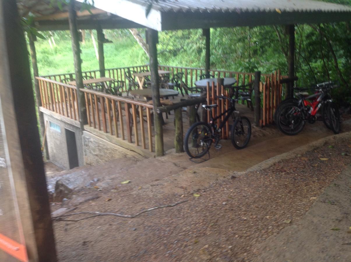 Explore Sinharaja Rain Forest Tour Camp Dombagoda ภายนอก รูปภาพ