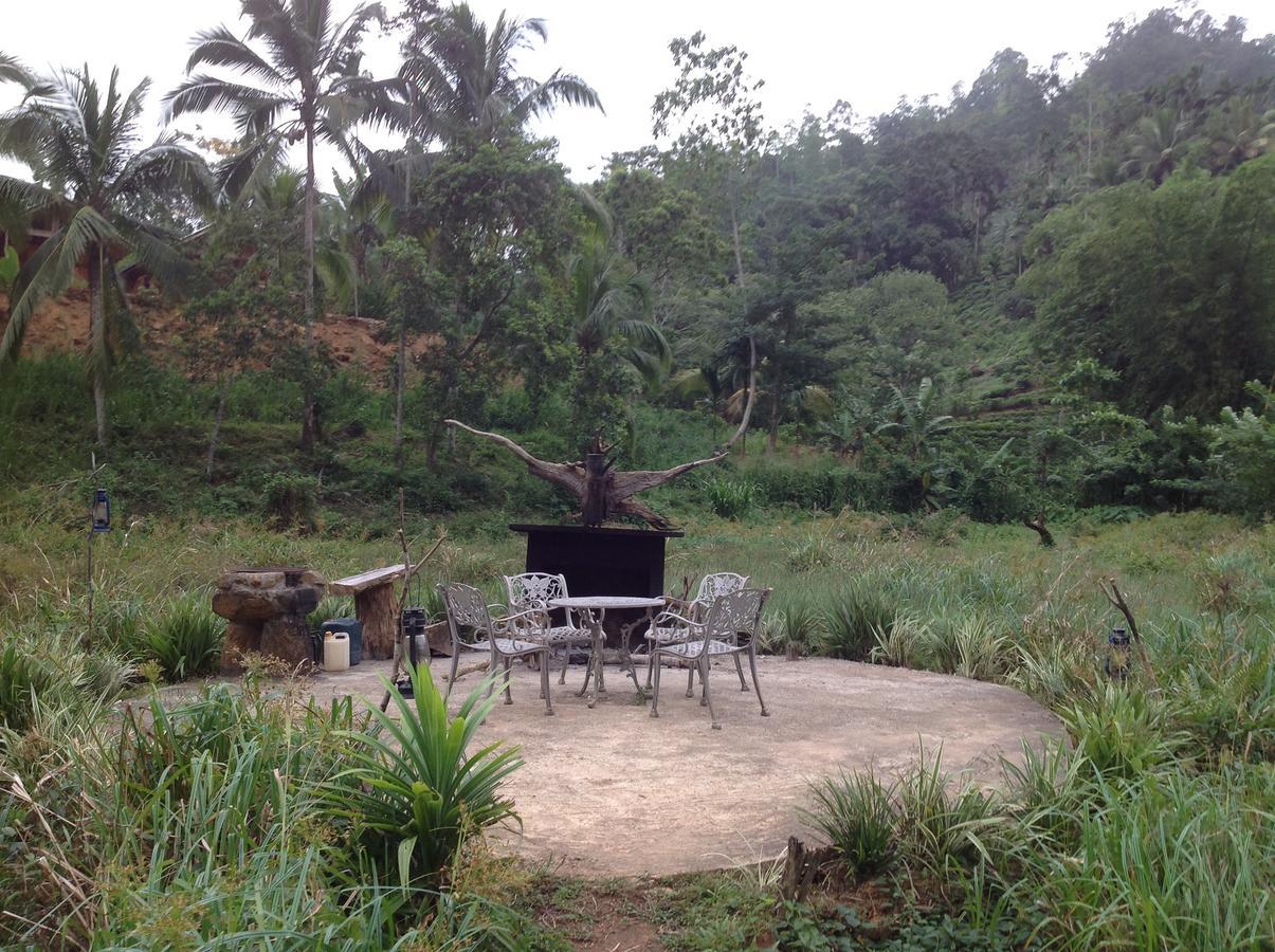 Explore Sinharaja Rain Forest Tour Camp Dombagoda ภายนอก รูปภาพ