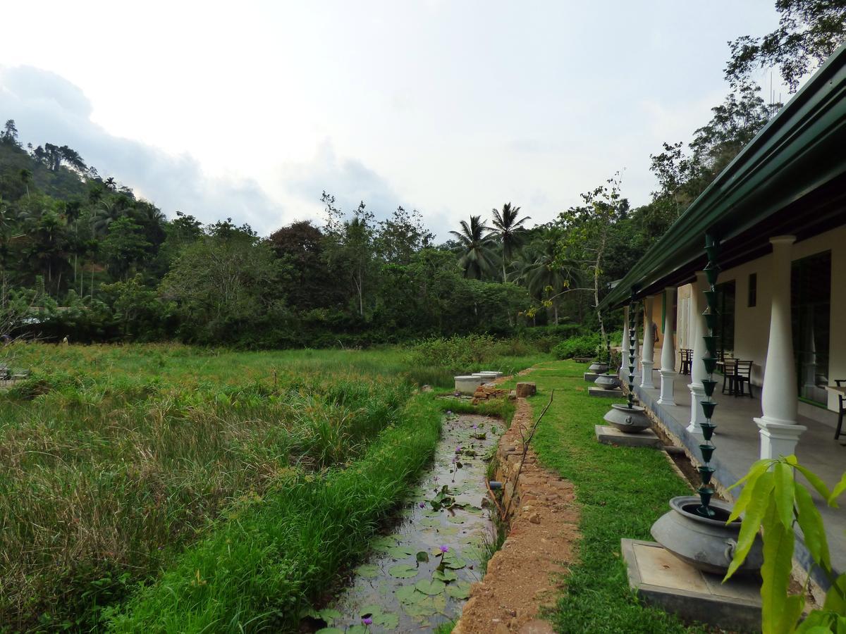 Explore Sinharaja Rain Forest Tour Camp Dombagoda ภายนอก รูปภาพ