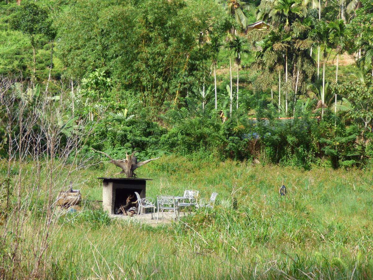 Explore Sinharaja Rain Forest Tour Camp Dombagoda ภายนอก รูปภาพ