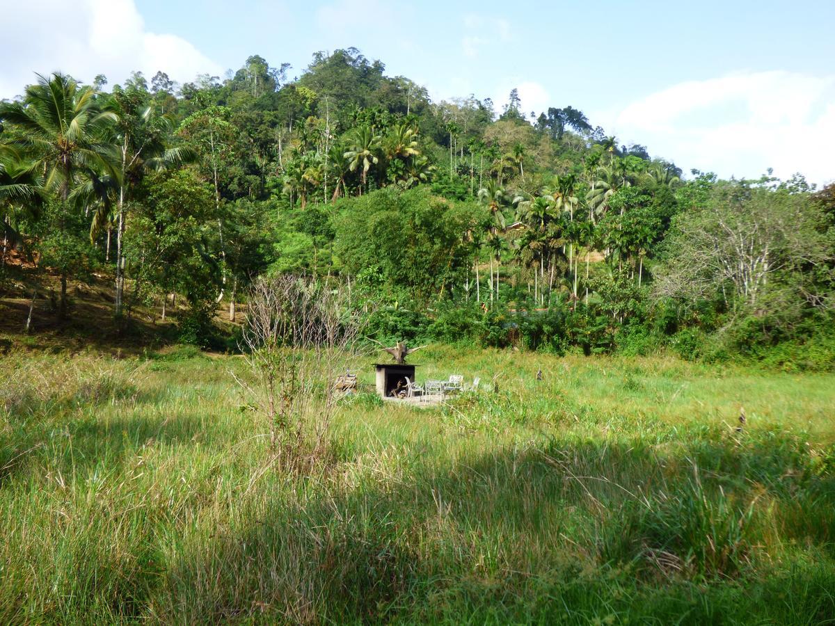 Explore Sinharaja Rain Forest Tour Camp Dombagoda ภายนอก รูปภาพ
