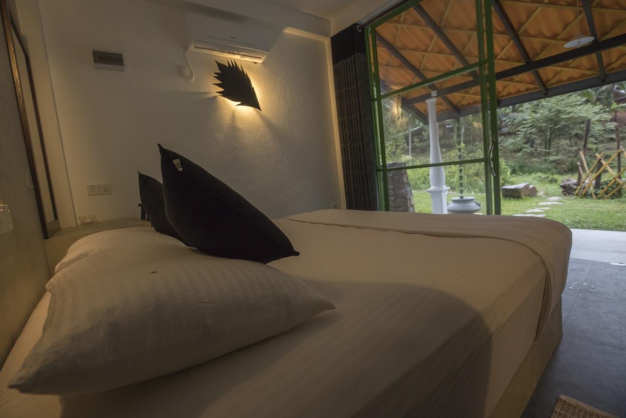 Explore Sinharaja Rain Forest Tour Camp Dombagoda ภายนอก รูปภาพ