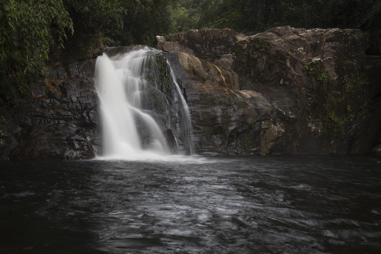 Explore Sinharaja Rain Forest Tour Camp Dombagoda ภายนอก รูปภาพ