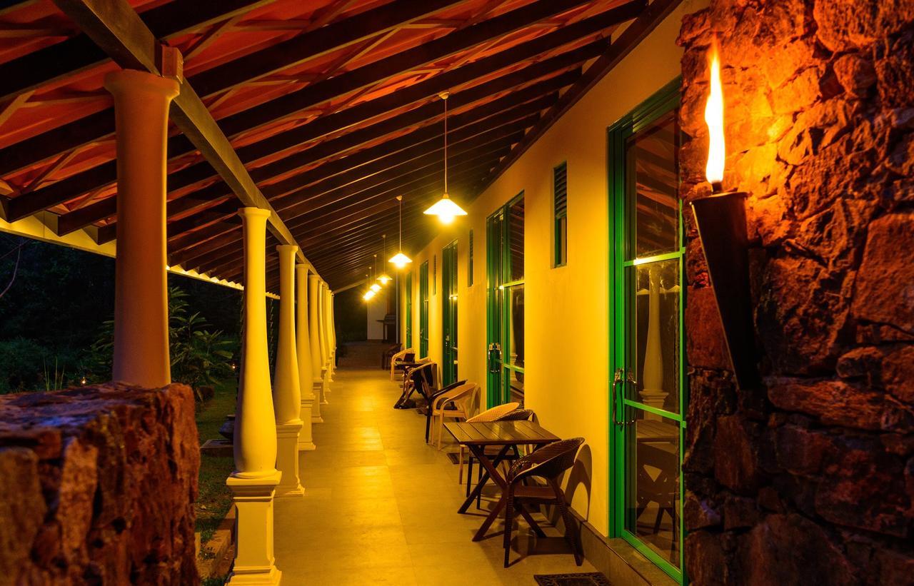 Explore Sinharaja Rain Forest Tour Camp Dombagoda ภายนอก รูปภาพ