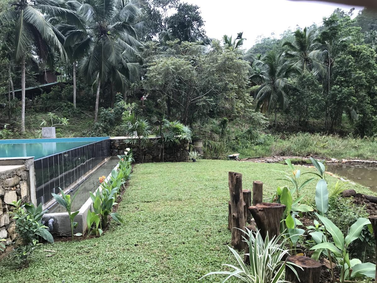 Explore Sinharaja Rain Forest Tour Camp Dombagoda ภายนอก รูปภาพ
