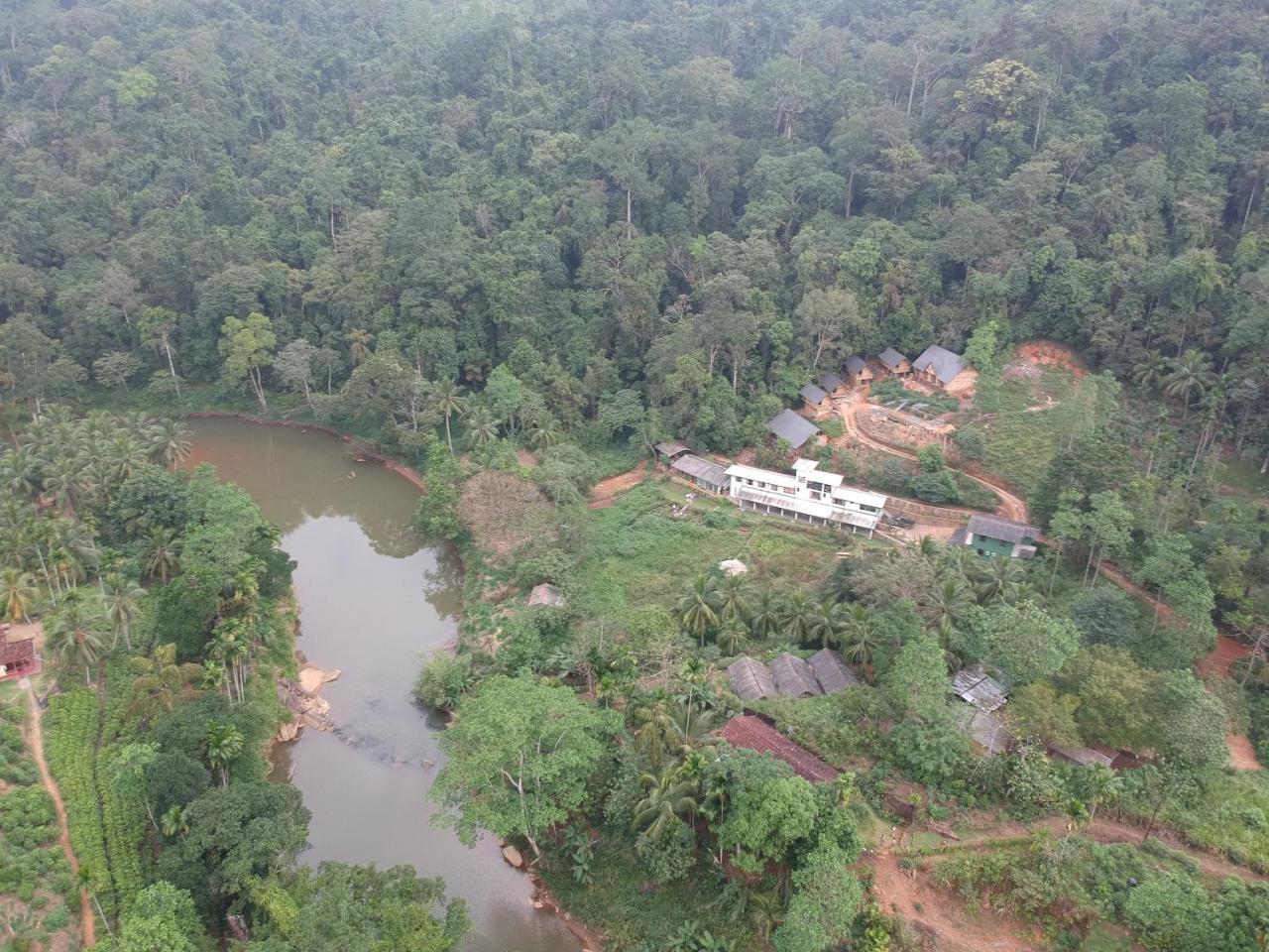 Explore Sinharaja Rain Forest Tour Camp Dombagoda ภายนอก รูปภาพ