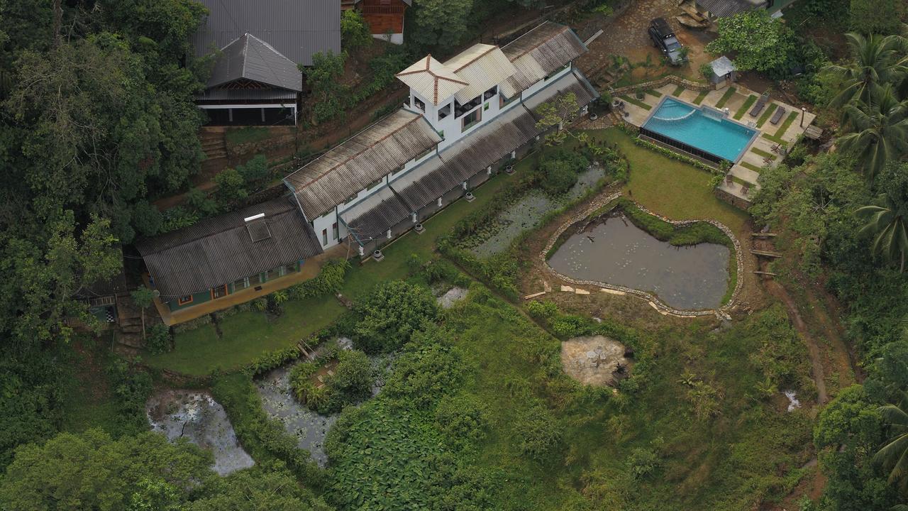 Explore Sinharaja Rain Forest Tour Camp Dombagoda ภายนอก รูปภาพ