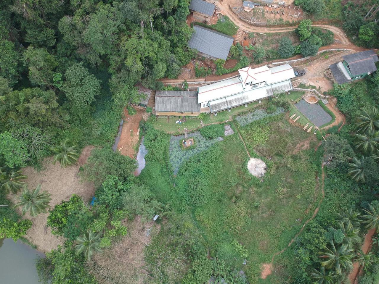 Explore Sinharaja Rain Forest Tour Camp Dombagoda ภายนอก รูปภาพ