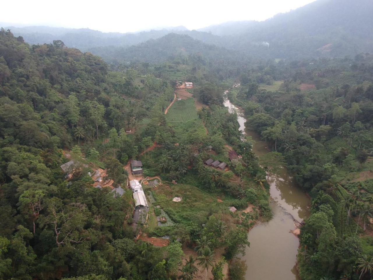 Explore Sinharaja Rain Forest Tour Camp Dombagoda ภายนอก รูปภาพ